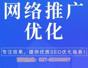 网站SEO优化公司