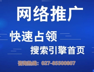 武汉网络推广